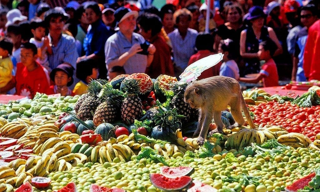 Monkey Buffet Festival (Lopburi, Thailand)