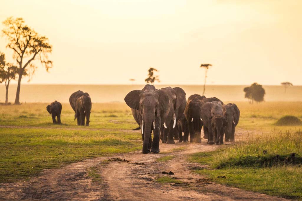 Kenya