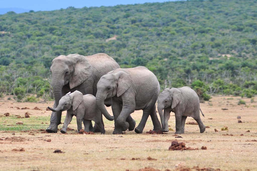 Kenya