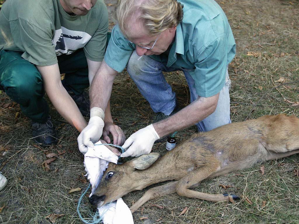 Helping