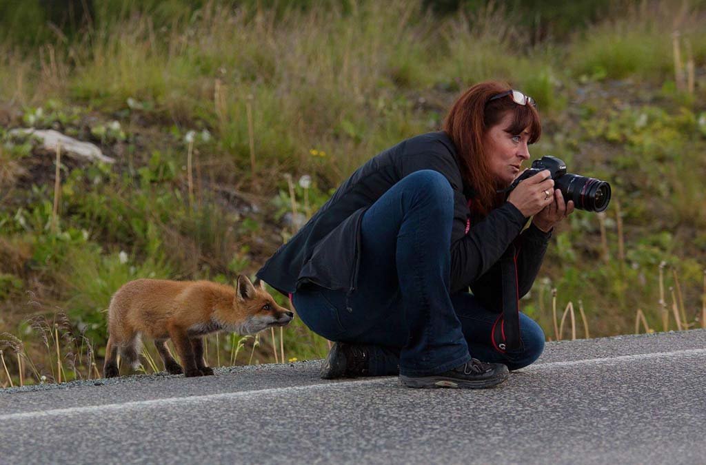 Wildlife